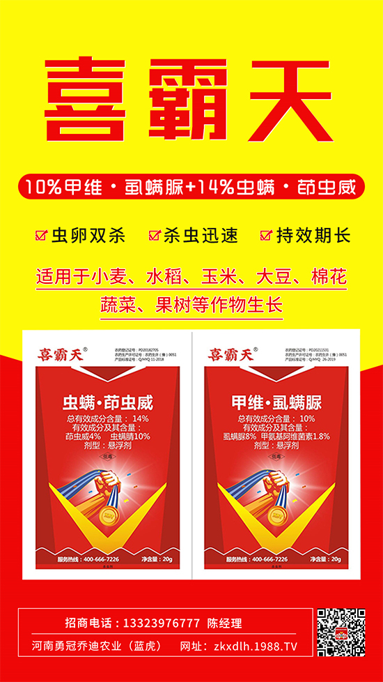 小菜蛾、菜青蟲危害重太難打？這樣用藥！一打一個準(zhǔn)!