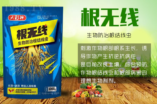 根結(jié)線蟲殺死容易殺絕難！這樣防治效果好到驚人！