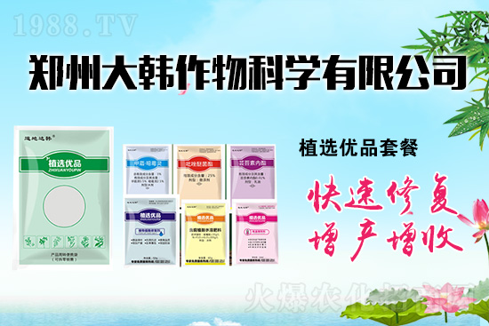 ����ˎ���ʺ��l�l(f��)��ô�k���l(f��)��ˎ���ʺ�����a(b��)����