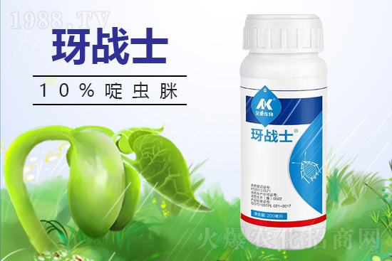 早春蚜蟲很容易大爆發(fā),怎么避免黃瓜蚜蟲危害?