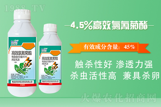 白菜菜青蟲有什么危害？白菜菜青蟲防治