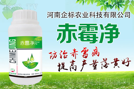 緊急提醒:未來十天是小麥赤霉病防治關(guān)鍵期!務(wù)必抓。