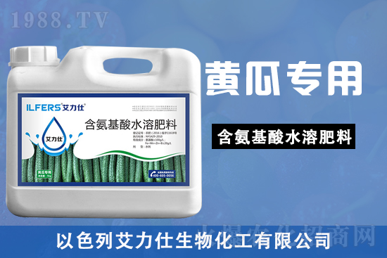 黃瓜苗期，該如何做好管理要點(diǎn)？