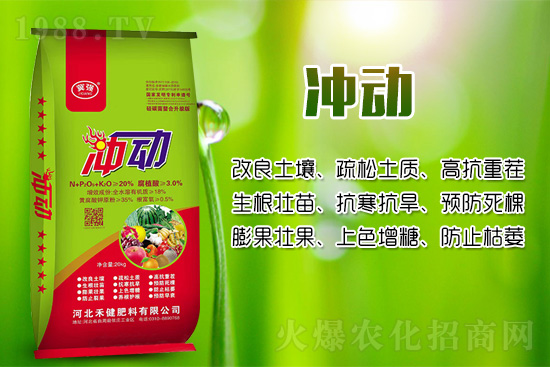 辣椒移栽后幼苗生長緩慢的原因！