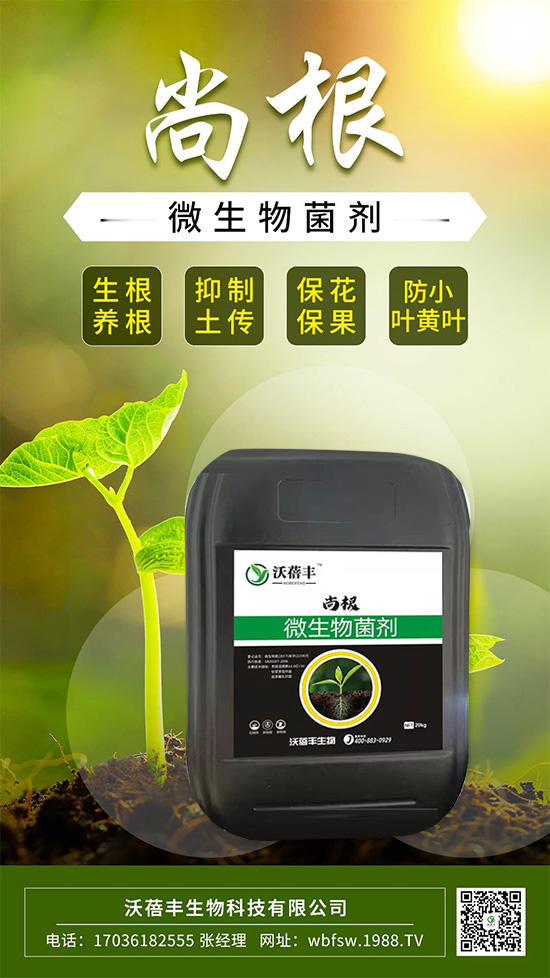 ��ô����׌���������Ѹ������@����׌��������������