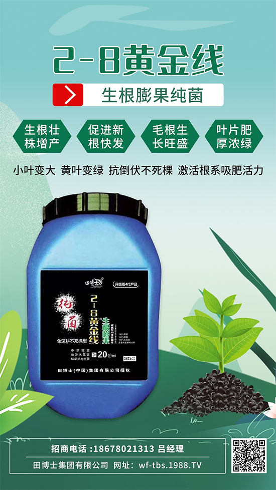 根是肥的嘴，萬物生長靠根系！作物爆發(fā)生根試試這一招! 