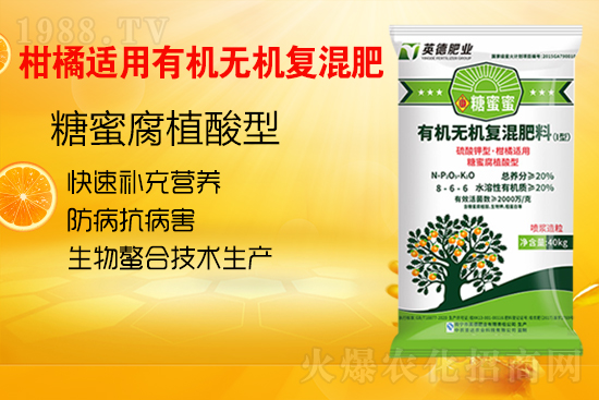 柑橘施肥常見(jiàn)的誤區(qū)有哪些?柑橘如何科學(xué)施肥呢?