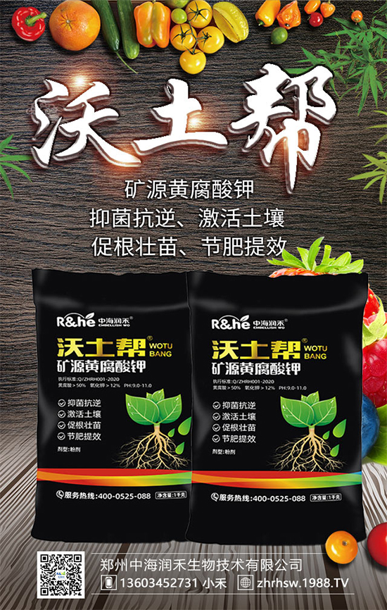 礦源黃腐酸鉀怎么用?放到地里幾天能看到效果?