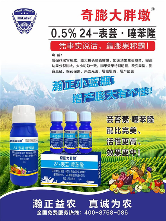     ������Ҫ�߮a(ch��n)��������P(gu��n)�I���������������D(zhu��n)ɫ�����u��������ڵĮa(ch��n)����Ʒ�|(zh��)�����������S��Ĺ��r(n��ng)���r(n��ng)������ӳ�Լҵ���������ס���������������������������������ܛ���չ�����r�l���l(f��)����