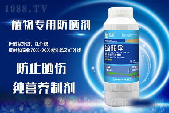 高溫天氣來襲，作物防曬有訣竅！快看你用上了嗎? 