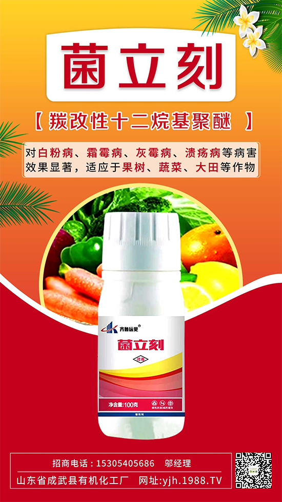 葡萄霜霉病還是白粉病？別再傻傻分不清了！如何分辨及防治？