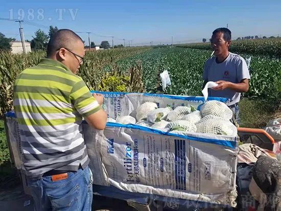 這款糖蜜肥農資圈瘋傳!原料天然,低成本高肥效開創(chuàng)者!