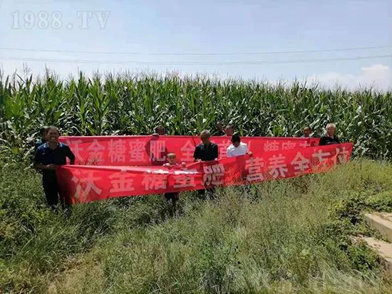 這款糖蜜肥農資圈瘋傳!原料天然,低成本高肥效開創(chuàng)者!