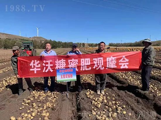 這款糖蜜肥農資圈瘋傳!原料天然,低成本高肥效開創(chuàng)者!