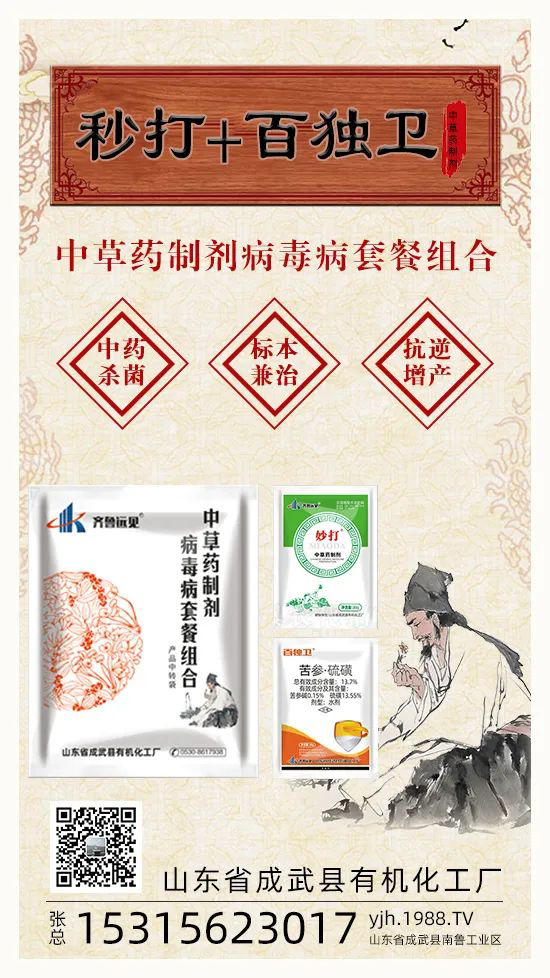 ��ֲ�ﰩ�Y-���������������������в�ˎ������������