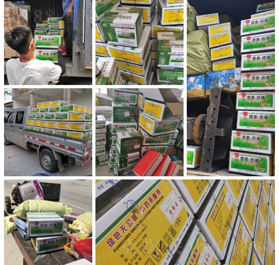 ��ֲ�ﰩ�Y-���������������������в�ˎ������������