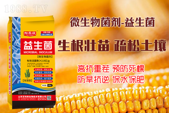 ������������Ѹ����L�ݸ�ïʢ���W���@Щ�°빦����