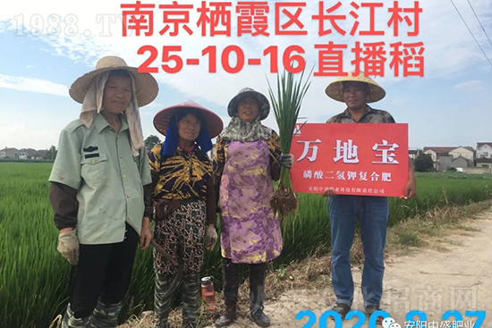 ˮ�����Y���Ì��a(ch��n)���ж��Ӱ������Mˮ�����Y��ô����