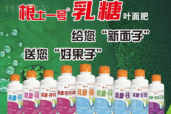 獼猴桃需肥特點(diǎn)有哪些？獼猴桃膨大肥怎么施