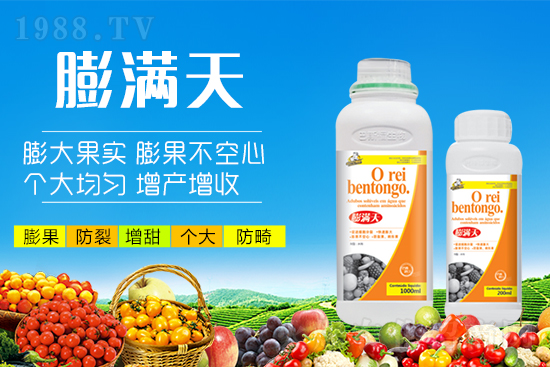 果實(shí)轉(zhuǎn)色膨果“新武器”!膨大防裂賣價(jià)高!提前上市7-12天!