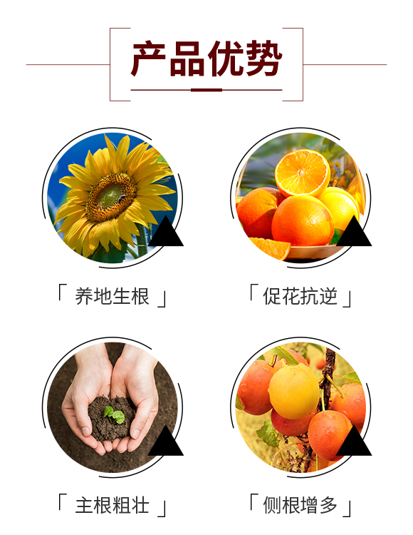 �֠���(y��u)����Ƽ��������������޹�˾-902460_03