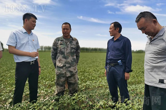 中農(nóng)化新疆北疆辦事處負(fù)責(zé)人：同路同行共發(fā)展