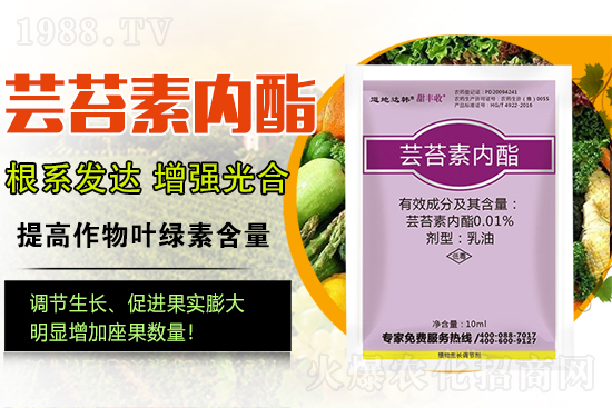 �|̦�؃�����ɶ���Q��ֲ�����ˎ���|̦�؃�����ô�x��