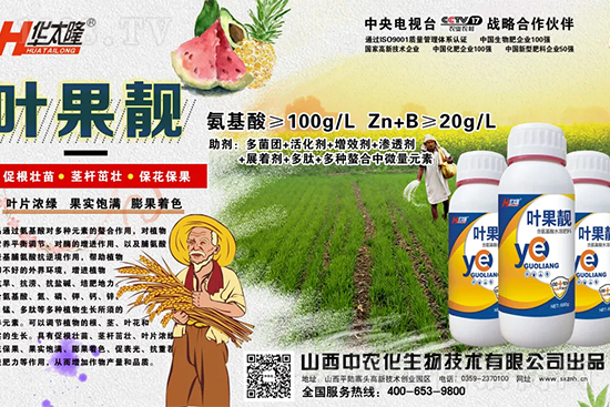     蘋果果個小是什么原因？解決對策有哪些？