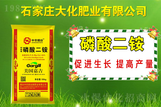 ��(zh��n)�Ժ���������(j��)��ʯ���f�󻯷ʘI(y��)�ٴκ��s1988.TV��