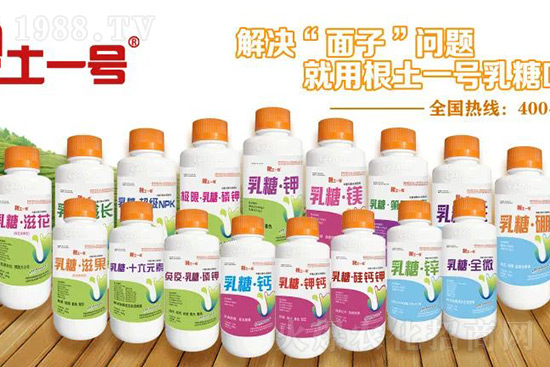 7月份獼猴桃進(jìn)入二次膨大期、轉(zhuǎn)糖期，這5個(gè)管理要點(diǎn)不得不看！