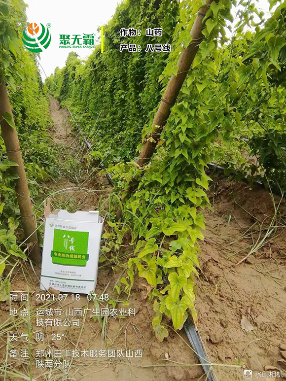 �������߾�+���S����-��̖(h��o)��-�۟o��4