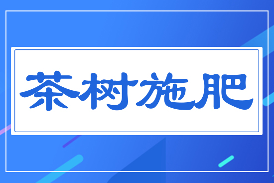 茶樹(shù)施肥