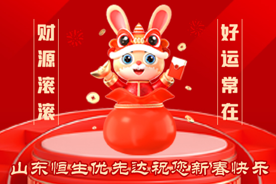 山東恒生優(yōu)先達(dá)