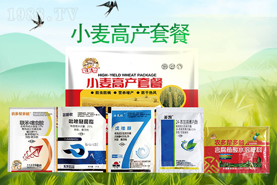 河北碧幫農業(yè)科技有限公司4