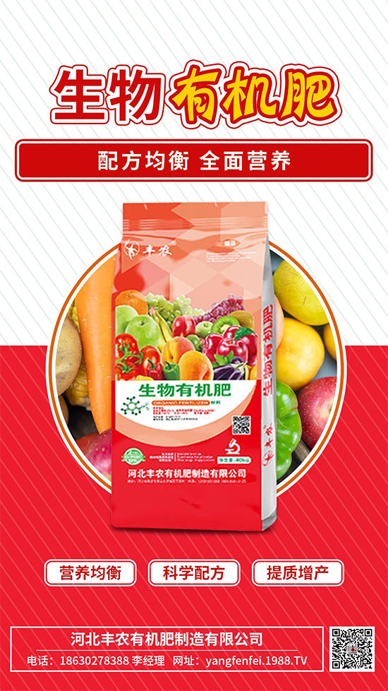 河北豐農(nóng)有機肥制造有限公司1