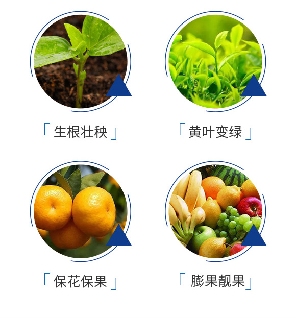 ���⺣���~����-����Ҽ��_05