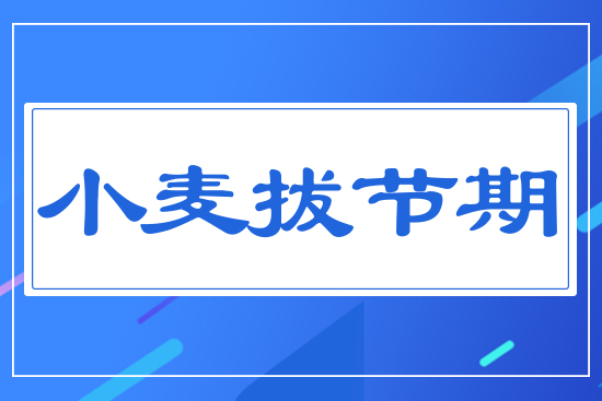 小麥拔節(jié)期