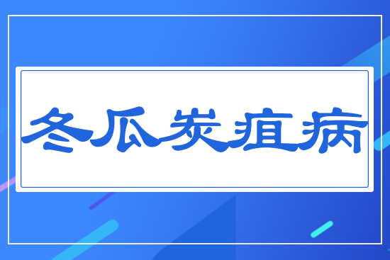 冬瓜炭疽病