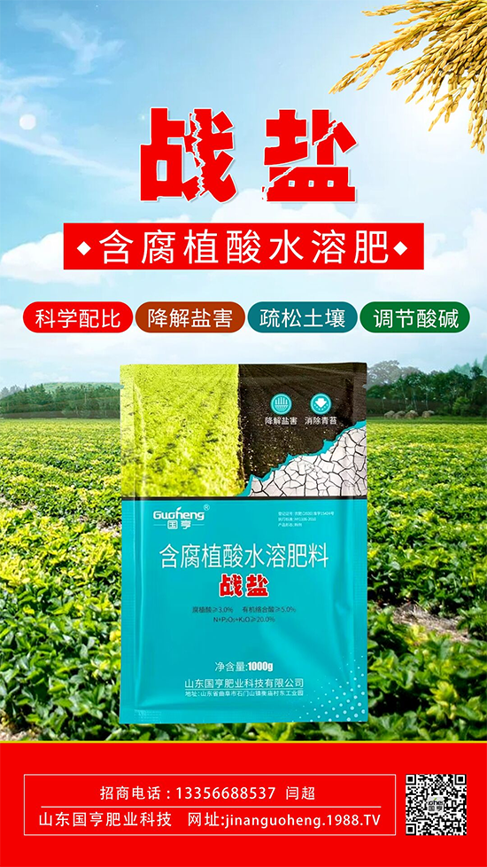 山東國(guó)亨肥業(yè)科技有限公司27