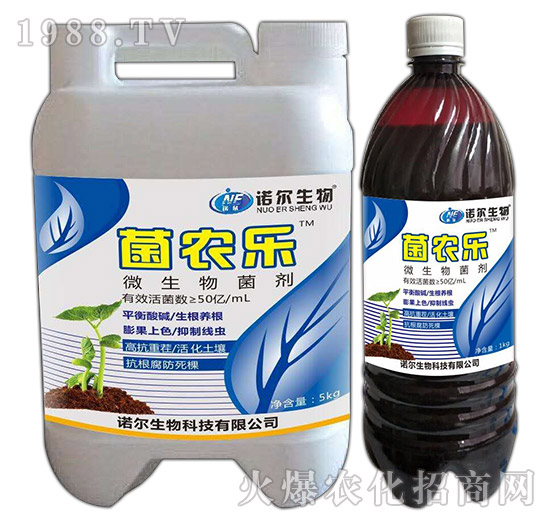 ΢�������-���r��-�Z������