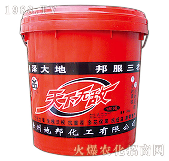 天下無(wú)敵-地邦泉