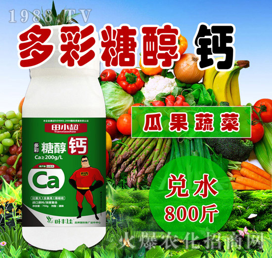 ����Ǵ��}-��С��