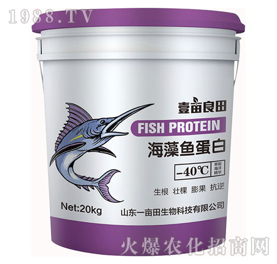 �����~����-Ҽ������