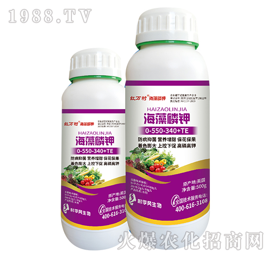 �������-�������-���˹����r(n��ng)��