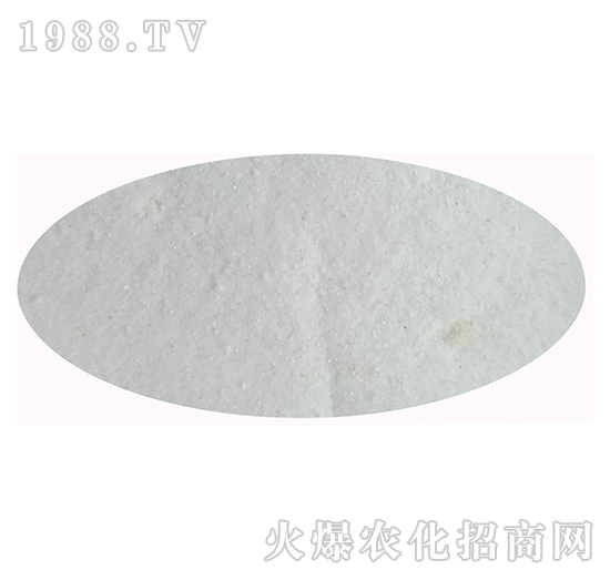 ��⛷�-�͌�����