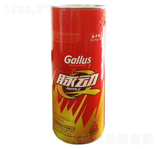 �VԴ�S�����-�}��-�������r��