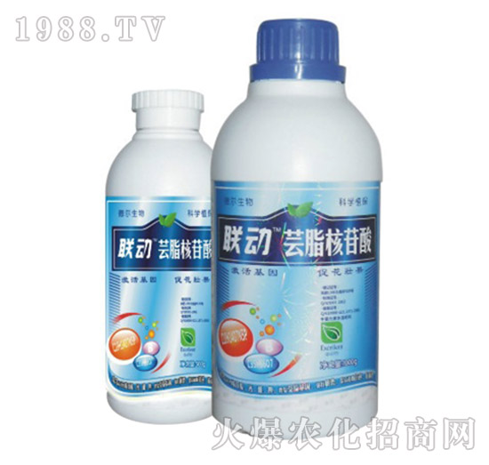 �|֬������-(li��n)��(d��ng)-��?t��ng)����? style=