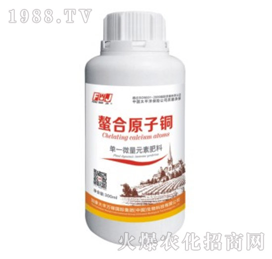 ��һ΢��Ԫ�ط���-����ԭ���~-�S�f(w��n)��