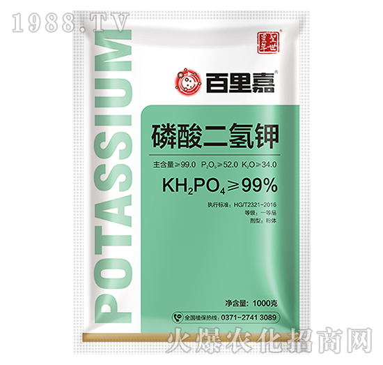 1000g��������-�����-ʥ���S