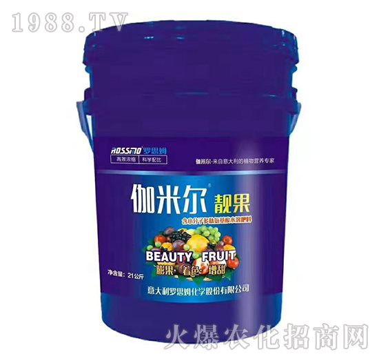 ٤�נ��n��-٤�נ�-ľ�̼ь�